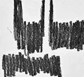 Графический эскиз / Drawing study 164